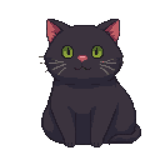 Ravioli the cat